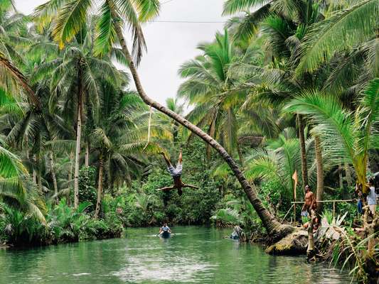 Not waving but diving