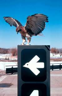 Wyman's signage at Minnesota Zoo