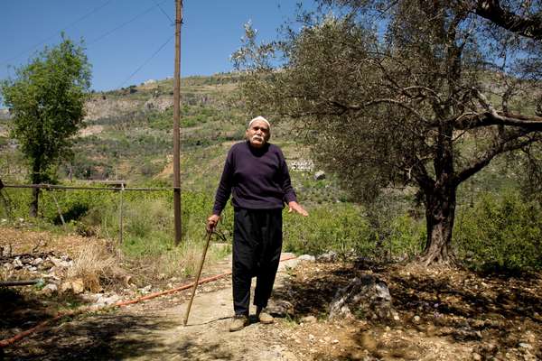 Druze farmer Badih Chaaban in the middle of an orchard in Rmeileh, Mount Lebanon
