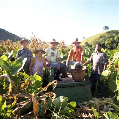 The Siewert family harvest corn