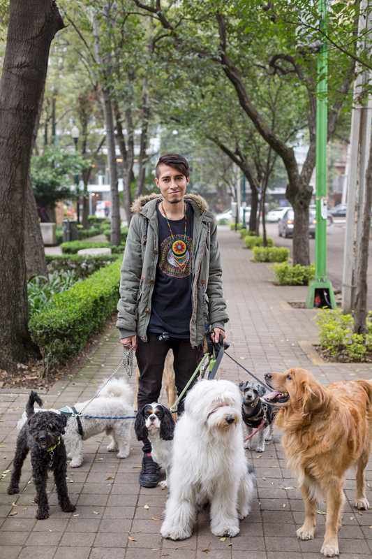 Dog walker Javier Medina