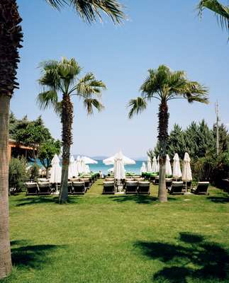 7800 Cesme’s manicured lawns and well-tended palm trees