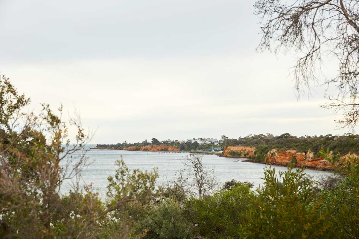 Cliffs along Port Phillip Bay 