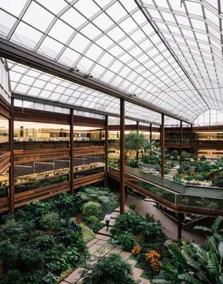 Atrium full of plants and natural light