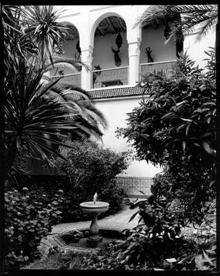 Inside the walls: a riad’s palm and fruit garden