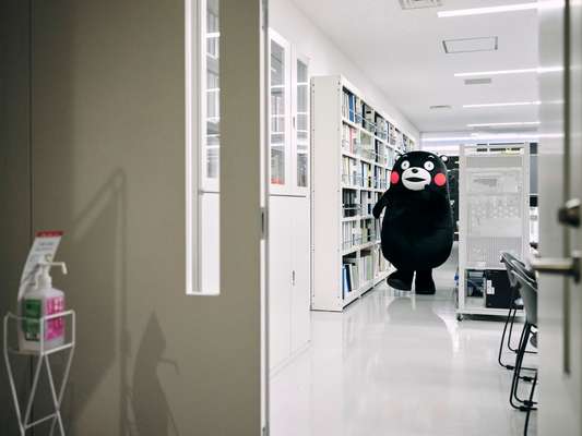 Kumamon arriving at the NHK Kumamoto TV studios