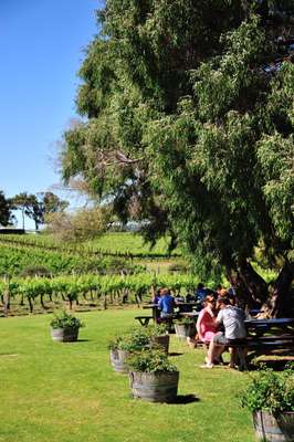 Hay Shed Hill Vinyards