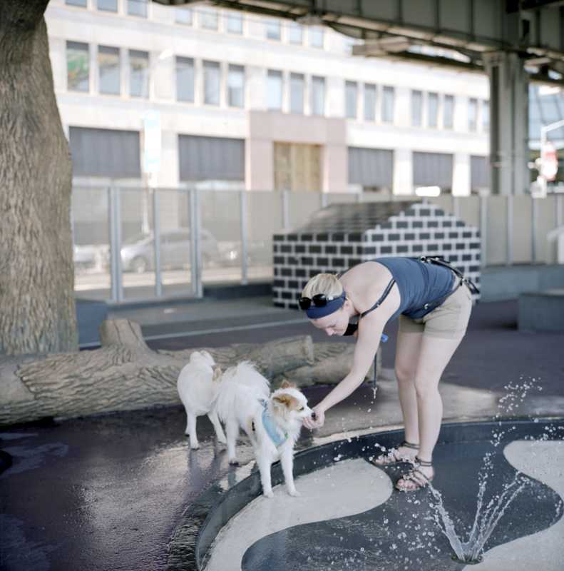 There’s space for four-legged friends at a dog park along the East River