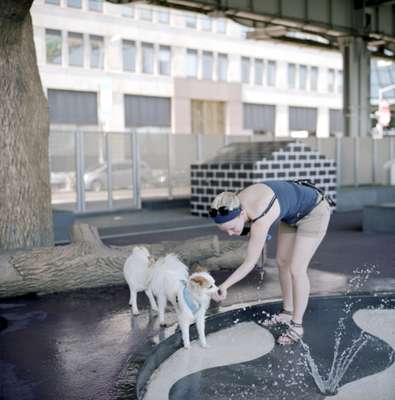 There’s space for four-legged friends at a dog park along the East River