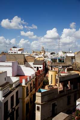 Alameda’s rooftops