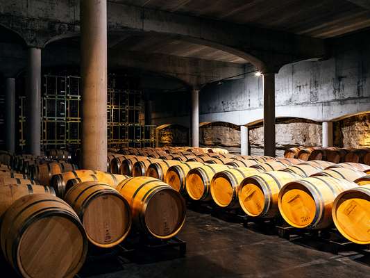 The bodega at Castillo de Cuzcurrita 