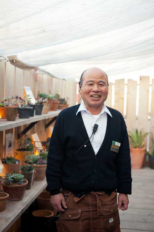 Hiroyuki Yamaguchi tends to succulents on the seventh floor