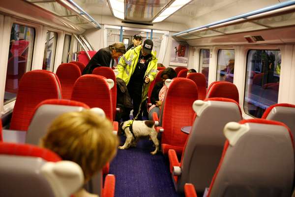 Oscar the spaniel searches a Gatwick Express train