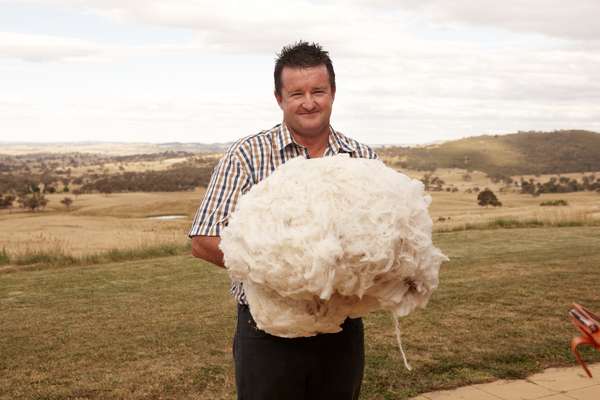 Woolgrower Andrew Ledger