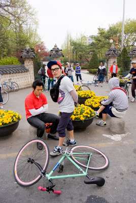 Cyclists in Dosan Park