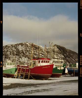 Fishing boats in St John’s Harbour