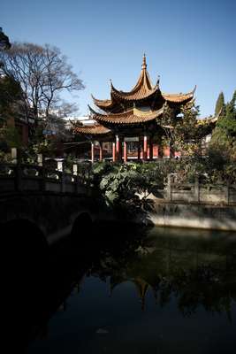 Pagoda in an old tea garden 