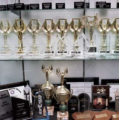 Awards, including one for ‘Dream Quest’, the best-selling adult video in 2000