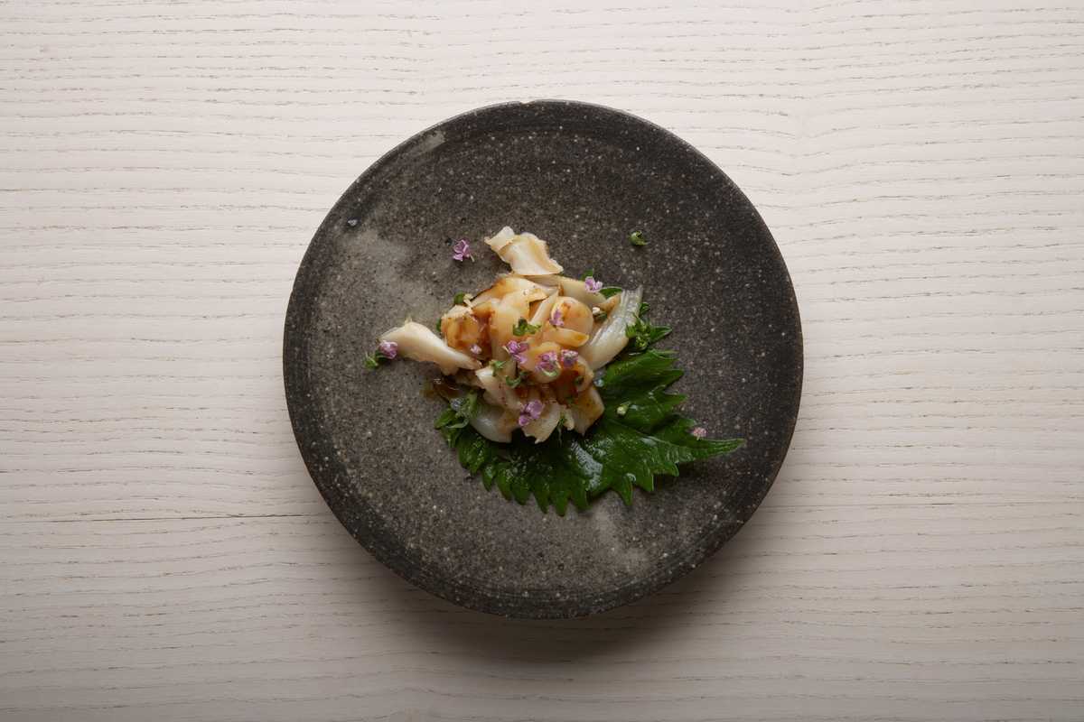 Seared razor clam with wasabi and soya dressing 