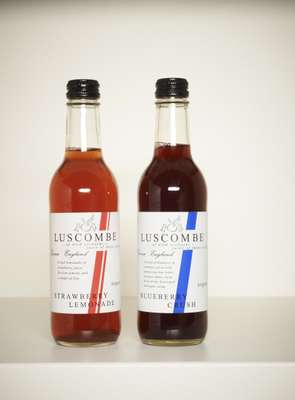 7- Luscombe fruit drinks