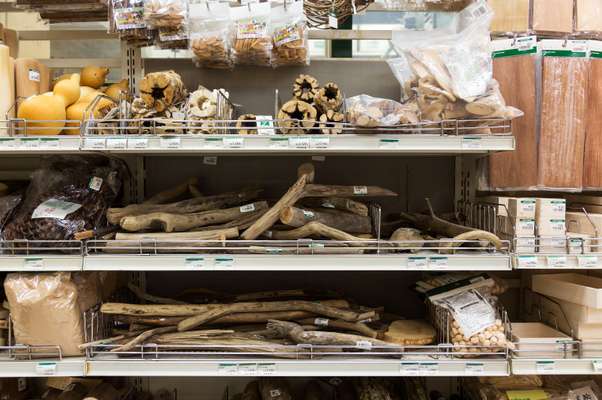 Gourds and driftwood in the wood department