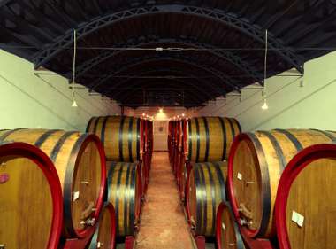 Wine cellar at the Regaleali estate