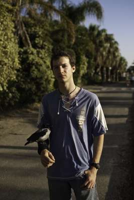 Iftach Navot, an 18-year-old member of the Ma’agan Michael kibbutz, with an injured crow he’d rescued