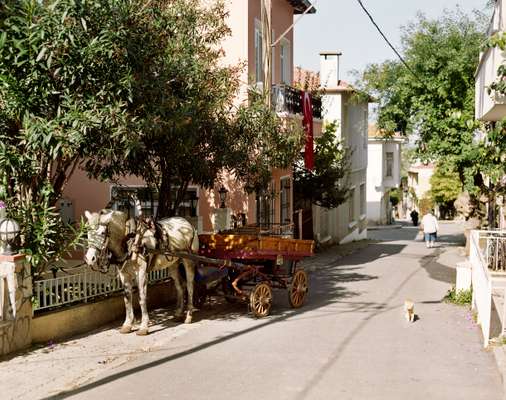 Horse and carriage is the only way to get around on the car-free islands