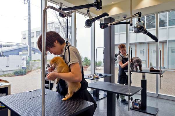 Dog carry bags and beds at Hannari, Tokyo 