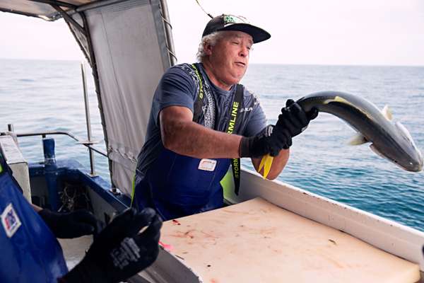 Russell releasing an undersized kingfish 