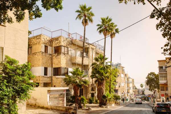 Palm-tree-lined streets of Hadar HaCarmel 