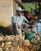 Cleaning sweet potatoes at Jean Hubert Francois’ farm