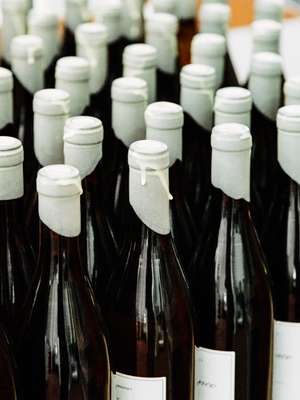 Bottling in the Envínate cellar 