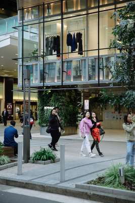 Shops and foliage