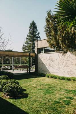 Murals by Arlette Martí 