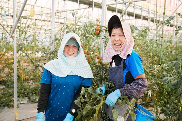 Locals working at Yamanaka’s agriculture business