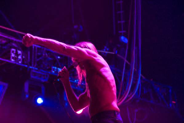 Iggy Pop, Green Stage, Saturday – wild