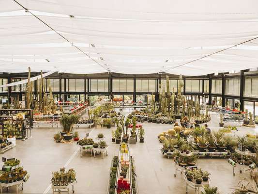 The polymer roof keeps the nursery clement 