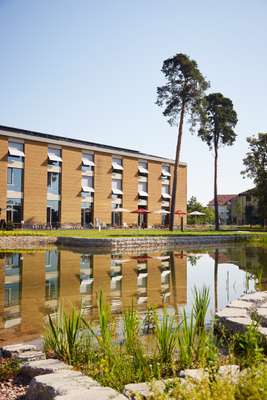 The pond helps maintain the ecosystem around HQ