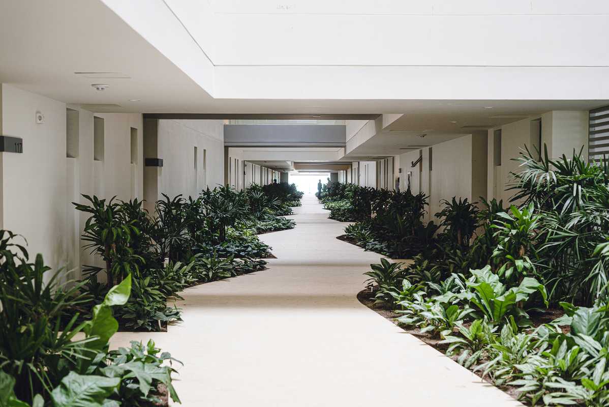 Pathway to the beach through an apartment complex