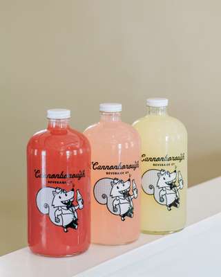 Cannonborough Beverage Co’s sodas  