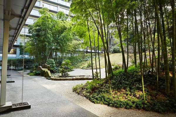 Bamboo, moss and raked pebbles 
