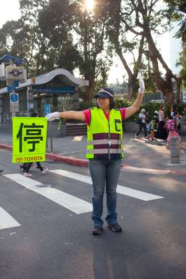 Traffic guard