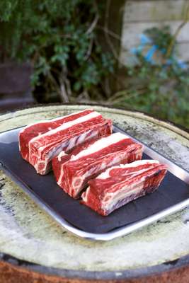 Beef short ribs 