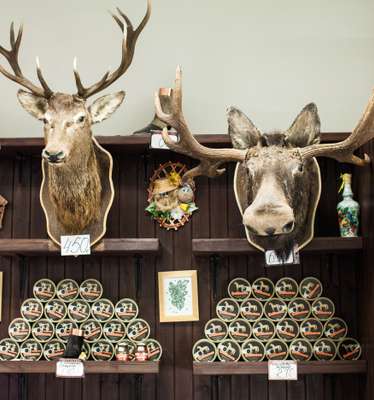 Animal heads for sale in a butcher shop, Narva