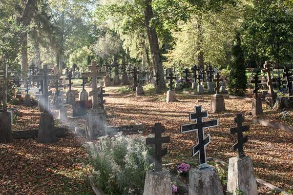 Old Believers graveyard, Kolkja
