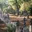 Old Believers graveyard, Kolkja

