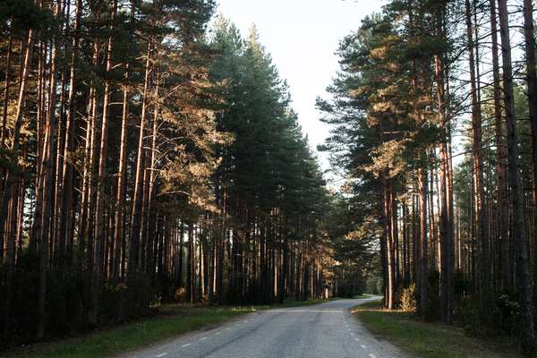 Heading south in Estonia
