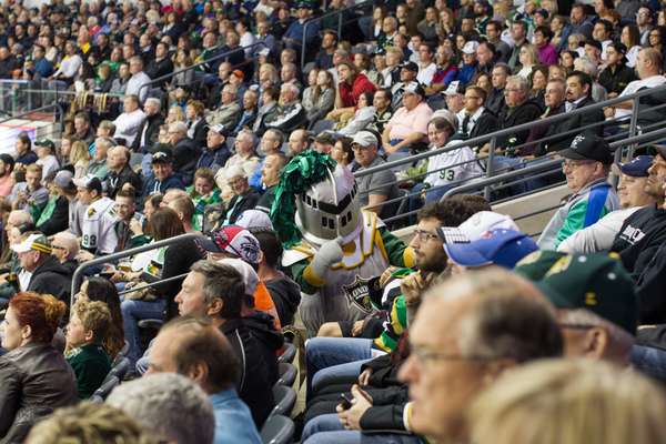 Scorezy amping up the crowd in Budweiser Gardens