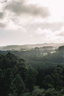 São Miguel: lush 